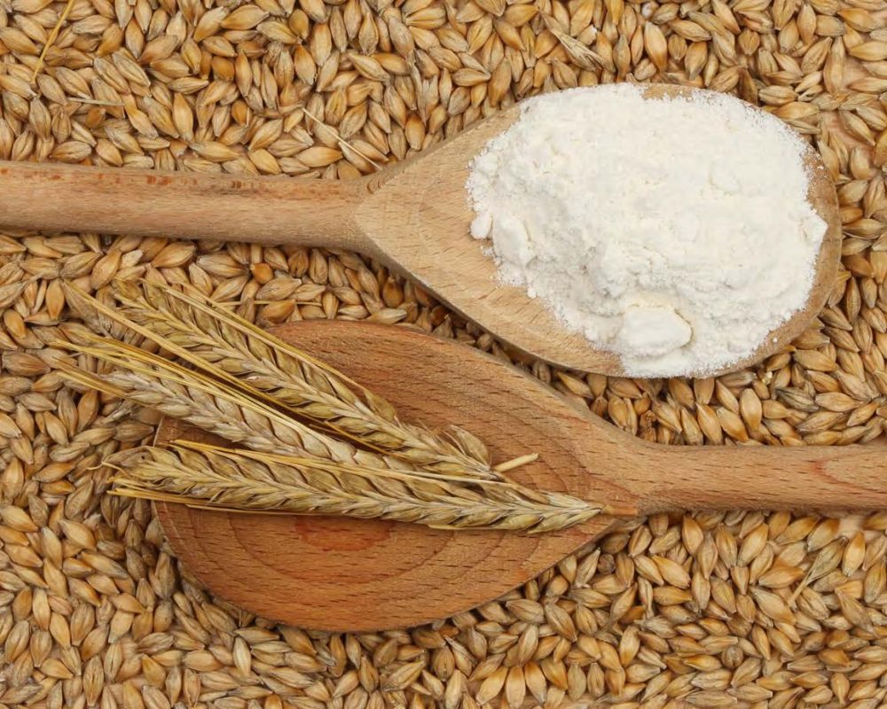 Barley Flour - Loose 1kg