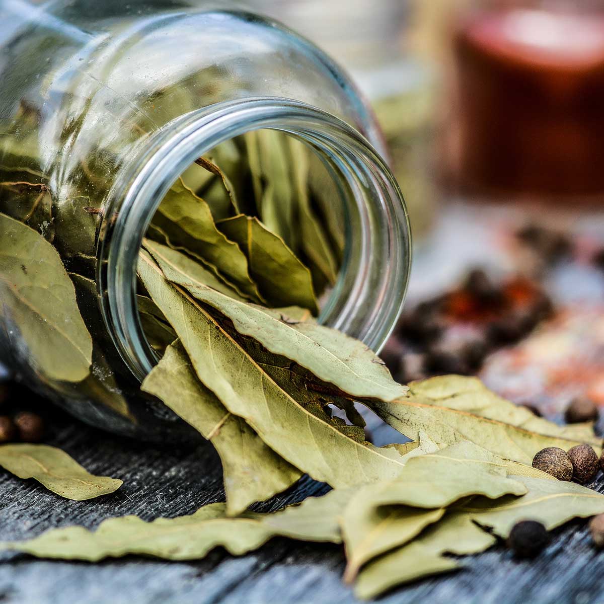 Bay Leaves - Loose 100gm