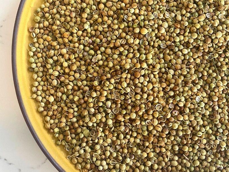 Coriander Seeds - Loose 1kg