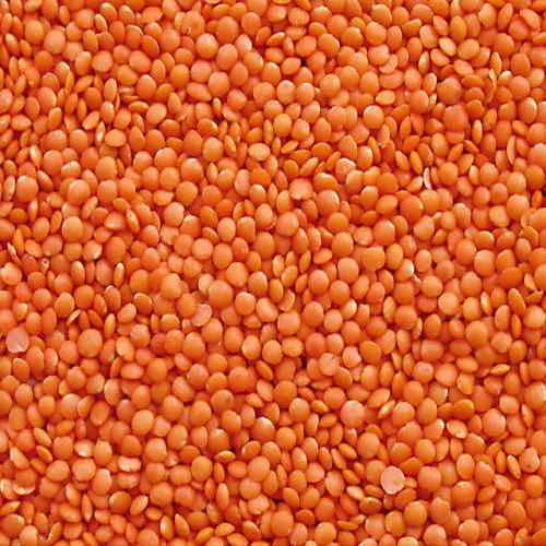 Masoor Dal - Loose 500gm