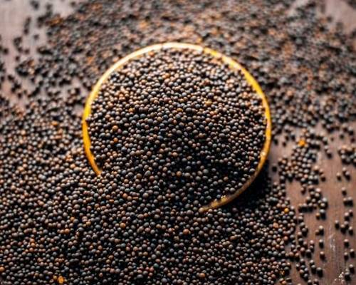 Mustard Seeds - Loose 1kg