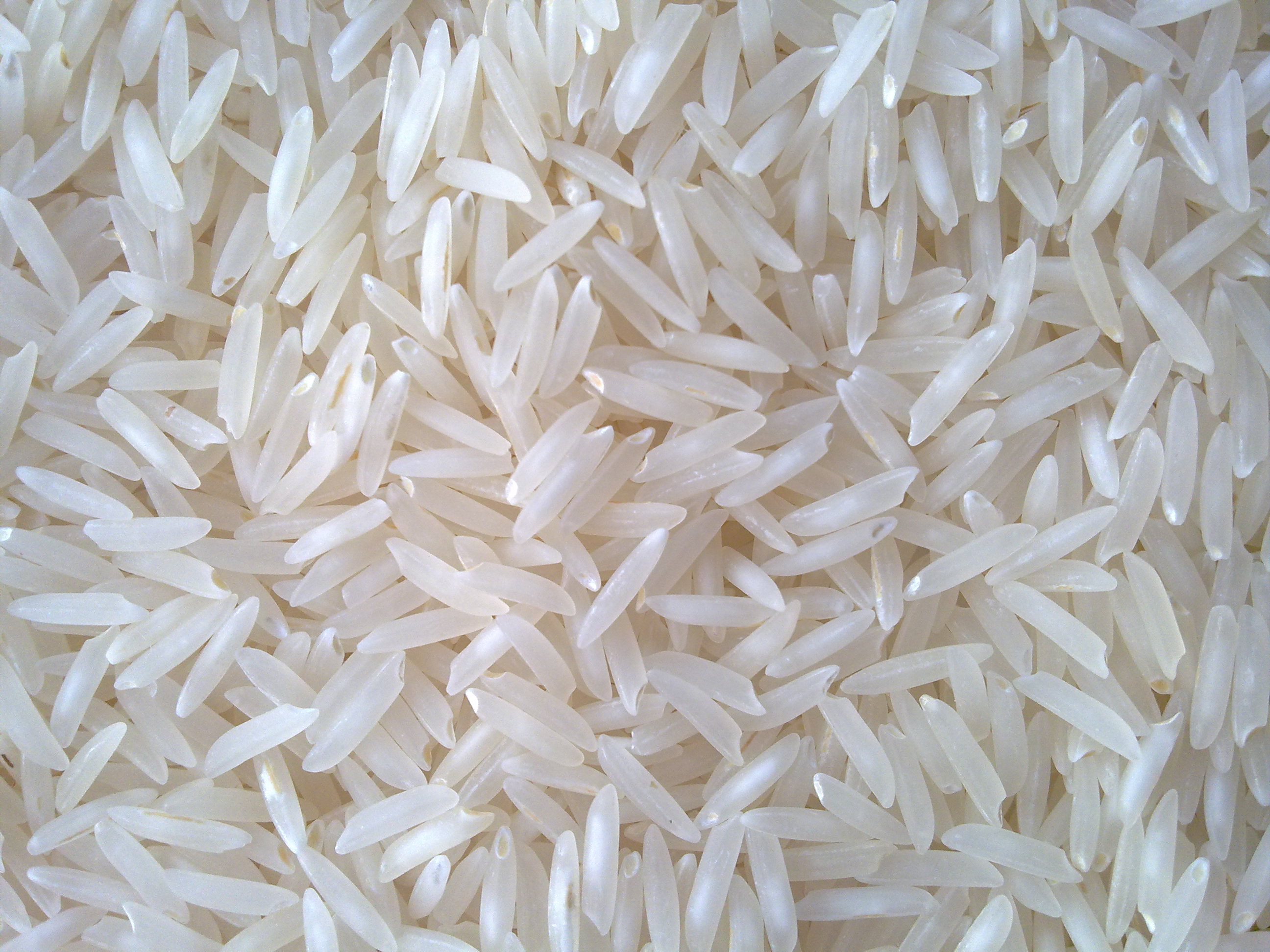 Sona Masoori Rice - Loose 1kg