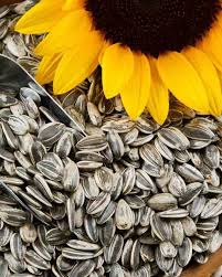 Sunflower Seeds - Loose 500gm