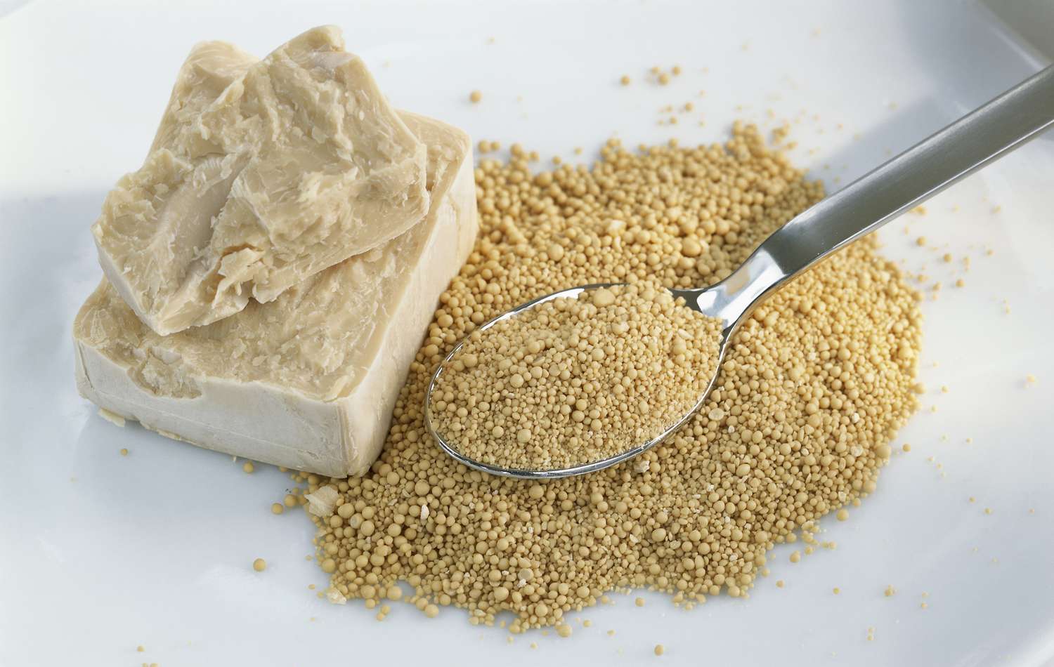 Yeast - Loose 500gm